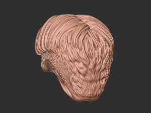 Hair 50 3D-printmodel