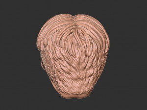 Hair 50 3D-printmodel