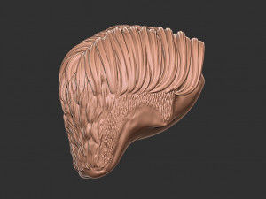Hair 50 3D-printmodel