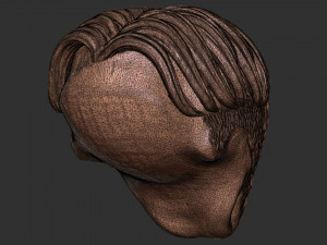 Hair 50 3D-printmodel