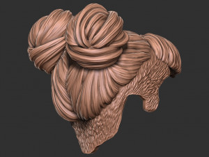 Hair 51 3D Print Model