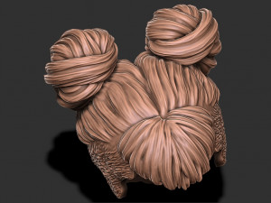 Hair 51 3D Print Model