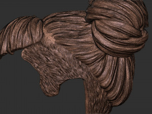 Hair 51 3D Print Model