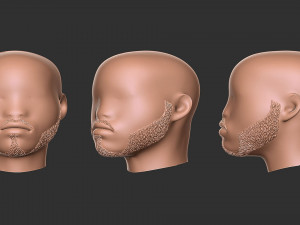 Beard 3 3Dプリントモデル