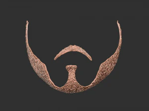 Barba 3 Modelo de Impressão 3D