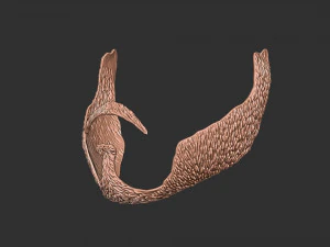 Barba 3 Modelo de Impressão 3D