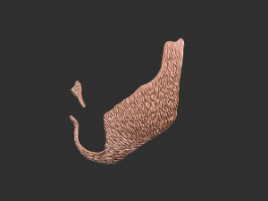 Beard 3 3D Print Model