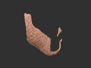 Barba 3 Modelo de Impressão 3D