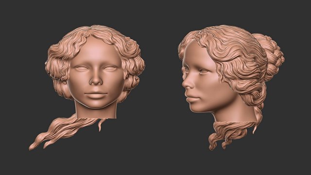 Hair 52 3D Baskı Modeli .c4d .max .obj .3ds .fbx .stl .blend 