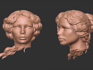 Hair 52 Model Cetak 3D