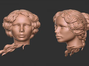 头发52 3D 打印模型