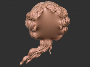Hair 52 3D Print Model