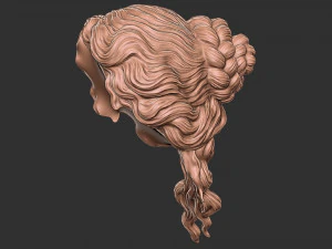 Hair 52 3D Print Model