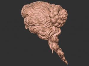 Hair 52 3D Print Model