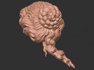 Hair 52 3D Print Model
