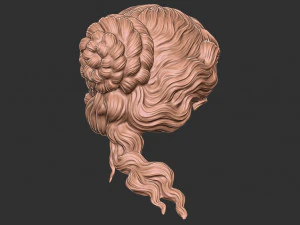 Hair 52 3D Print Model