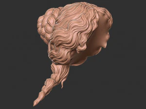 Hair 52 3D Print Model
