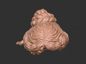 Hair 52 3D Print Model