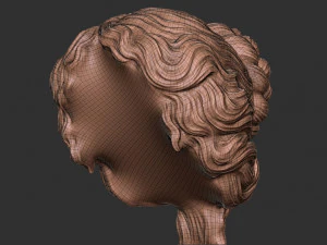Hair 52 3D Print Model
