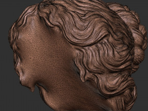 Hair 52 3D Baskı Modeli