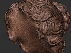 Hair 52 3D Print Model