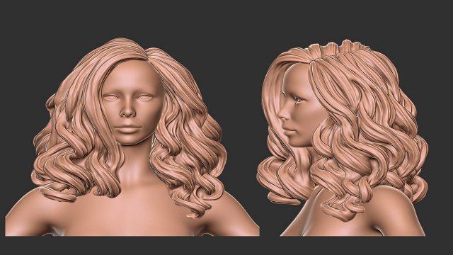 Hair 53 3D 모델 .c4d .max .obj .3ds .fbx .stl .blend 