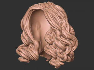 Hair 53 3D Model