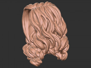 Hair 53 3D 모델