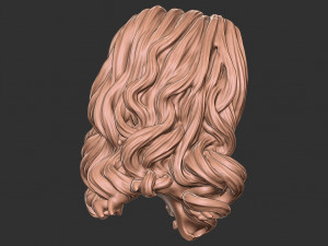 Hair 53 3D 모델