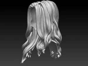 Hair 54 3D Print Model