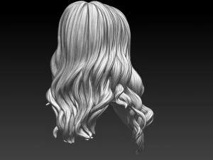 Hair 54 3D Print Model