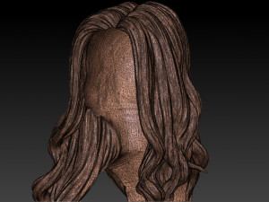Hair 54 3D Принт Модель