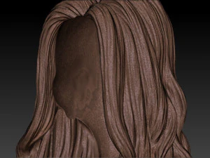 Hair 54 3D Print Model