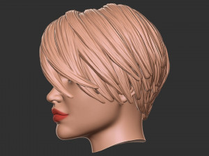 Hair 55 3D Print Model