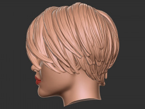 Hair 55 3D Print Model