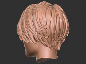 Hair 55 3D Print Model