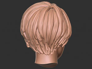 髪55 3Dプリントモデル