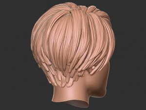 Hair 55 3D Print Model