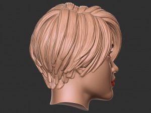 Hair 55 3D Print Model