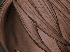 Hair 55 3D Print Model