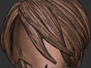 Hair 55 3D Print Model
