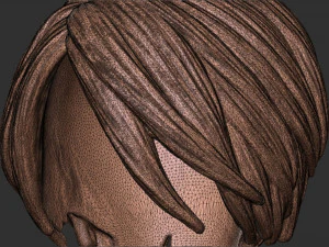 髪55 3Dプリントモデル
