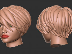 Hair 56 3D Принт Модель