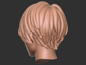 髪56 3Dプリントモデル