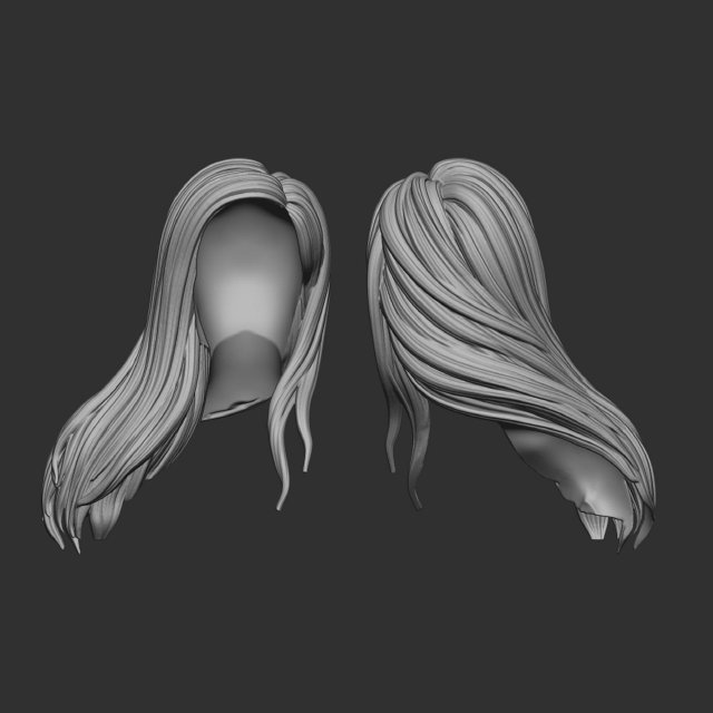 Hair 57 3D प्रिंट मॉडल .c4d .max .obj .3ds .fbx .stl .blend 