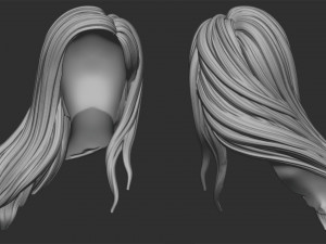 Hair 57 3D प्रिंट मॉडल