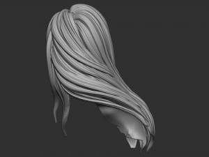 Hair 57 3D प्रिंट मॉडल