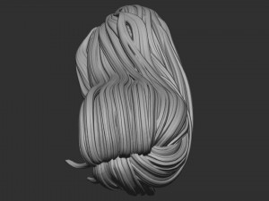 Hair 57 3D प्रिंट मॉडल
