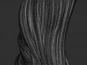 Hair 57 3D प्रिंट मॉडल