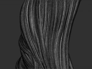 Haare 57 3D Druckmodell